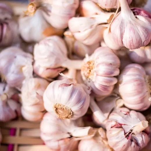Cabezas de ajo apiladas en un canasto